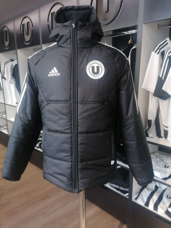 Geaca de iarna adidas